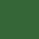 Листяно-зелений | RAL 6002